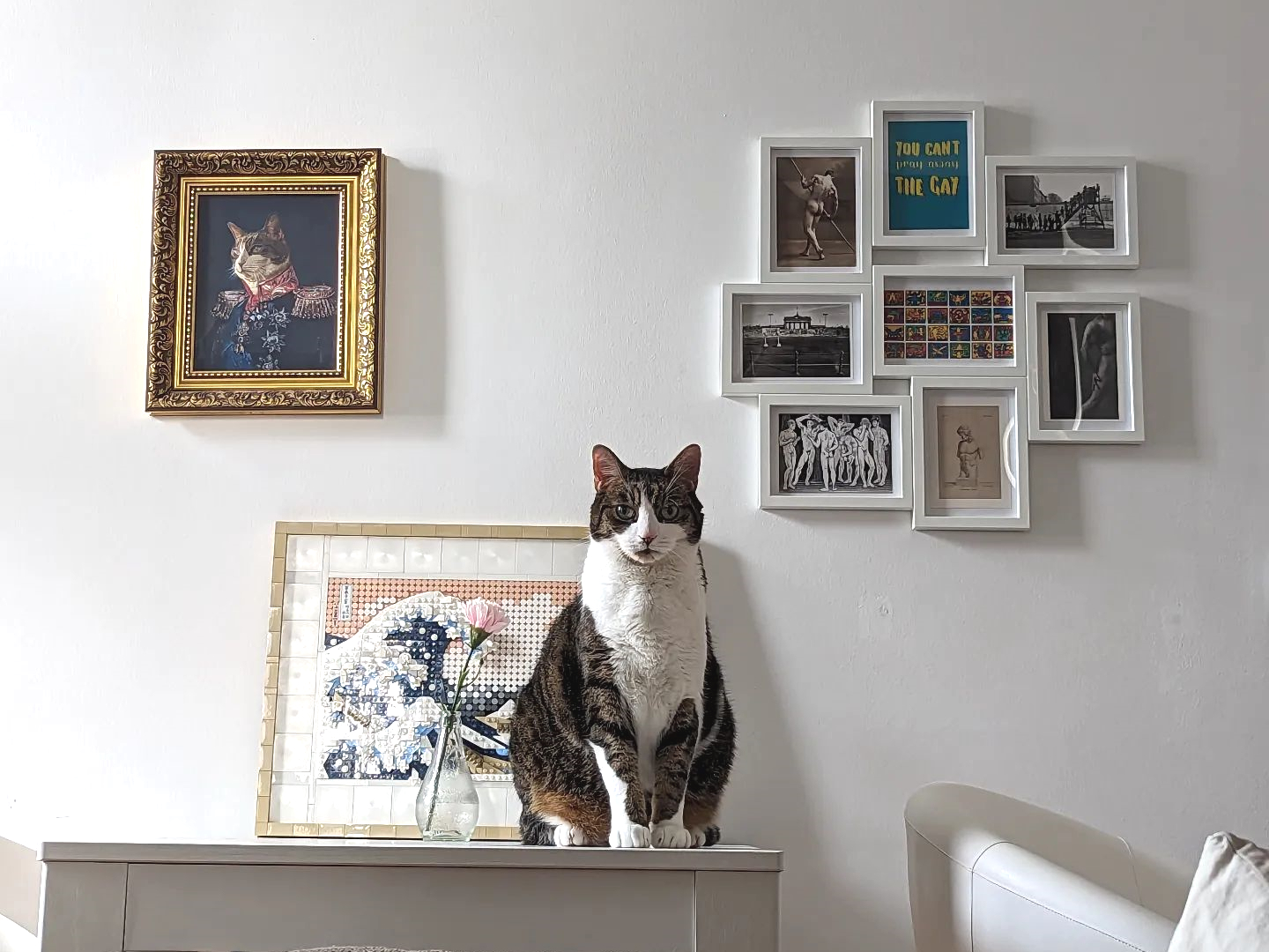 My cat, Sulu, perched on a small white table, staring intently towards me.